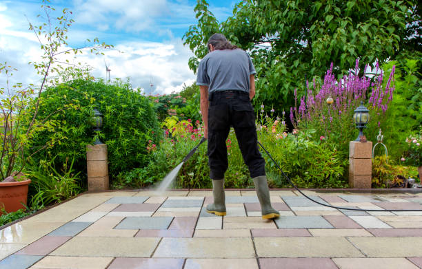 Best Animal Enclosure Cleaning  in Slaughterville, OK